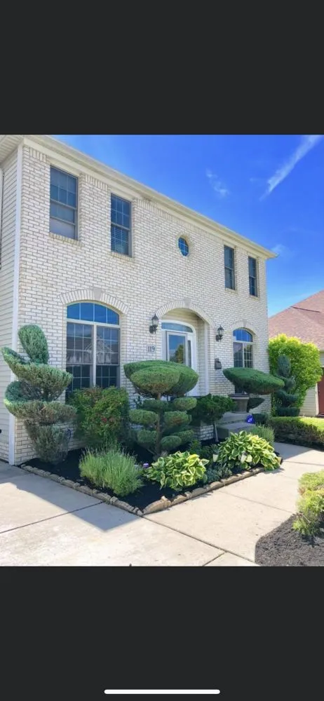 Local yard cleanup service for year-round maintenance across Buffalo, NY - Hall Services