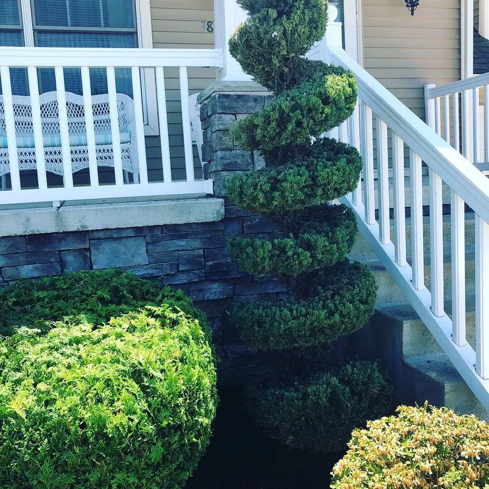 Affordable lawn mowing service in Buffalo, NY - Hall Services