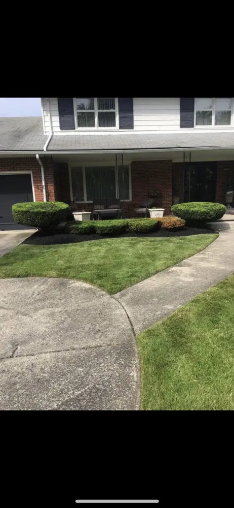 Affordable landscape design for beautiful yards across Buffalo, NY - Hall Services