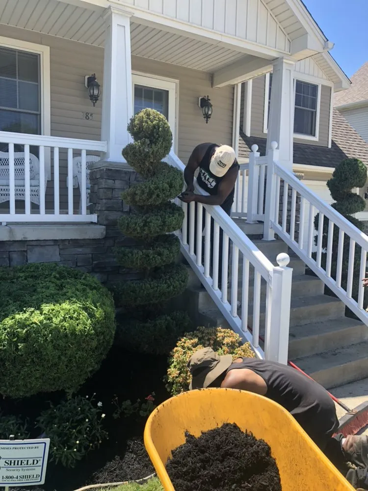Affordable yard cleanup service for homes across Buffalo, NY - Hall Services