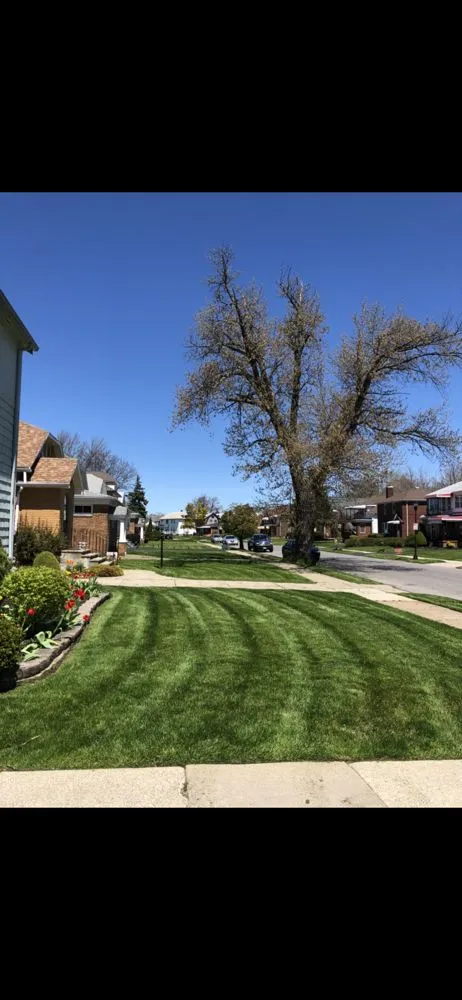 Professional landscaping services in Buffalo, NY by Hall Services