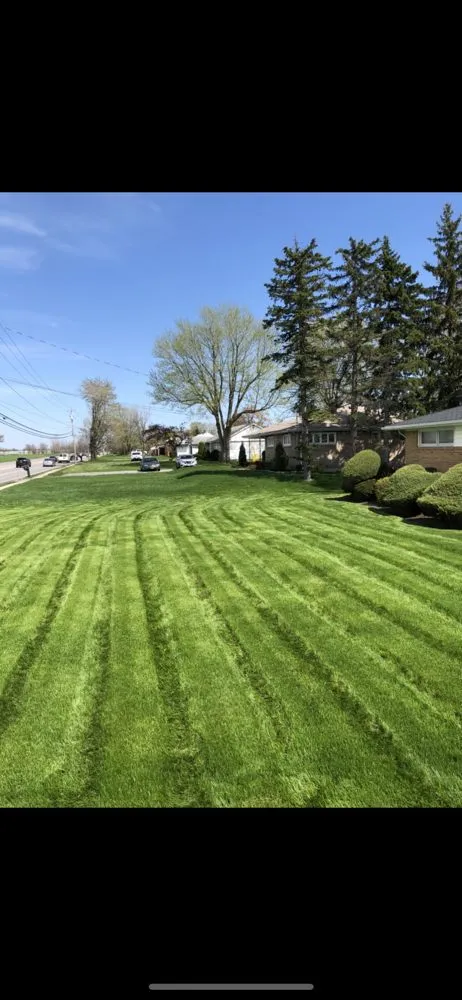 Affordable lawn care service in Buffalo, NY by Hall Services
