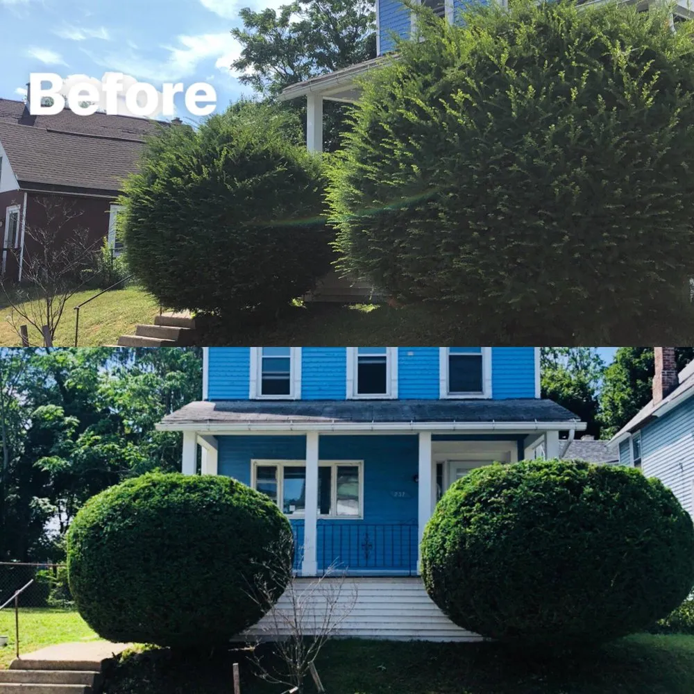 Trusted landscape installation in Buffalo, NY - Hall Services