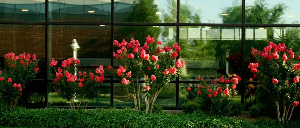 Trusted garden landscaping in Oklahoma City, OK by Hall Stewart Lawn and Landscape