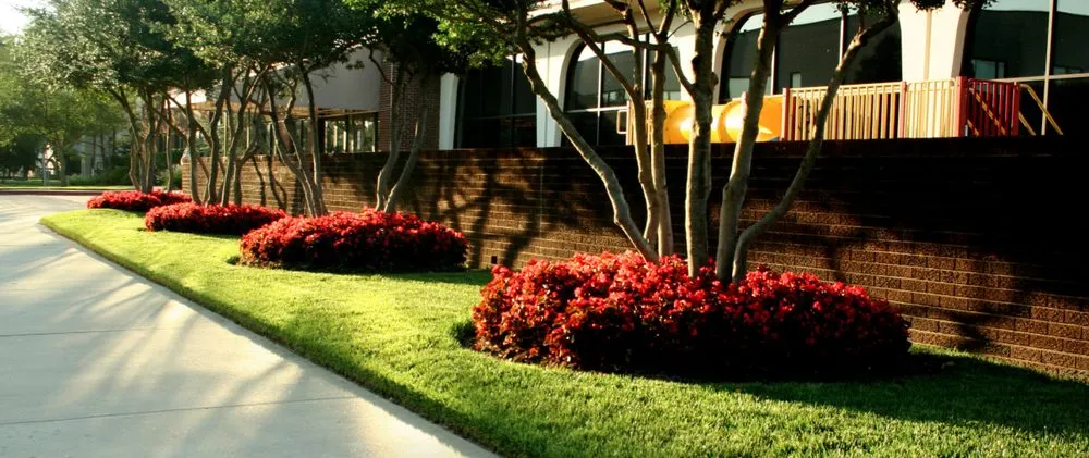 Local landscape design experts serving Oklahoma City, OK - Hall Stewart Lawn and Landscape