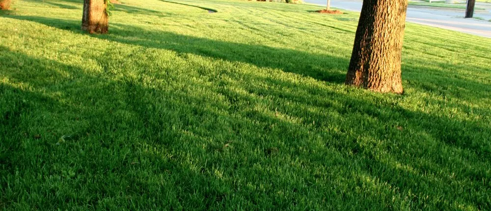 Local outdoor landscaping in Oklahoma City, OK by Hall Stewart Lawn and Landscape