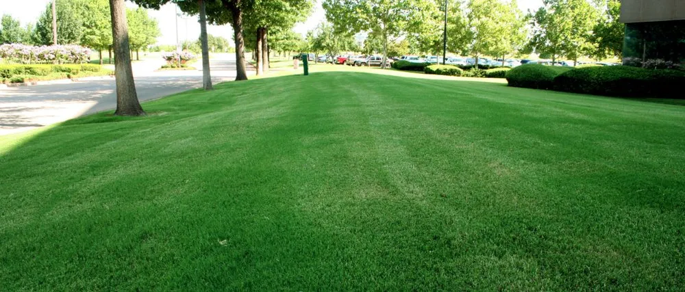 Custom yard maintenance experts serving Oklahoma City, OK - Hall Stewart Lawn and Landscape
