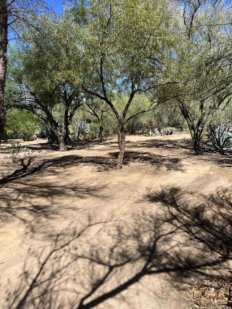 Top-rated garden landscaping in Vail, AZ - Halligan Hauling