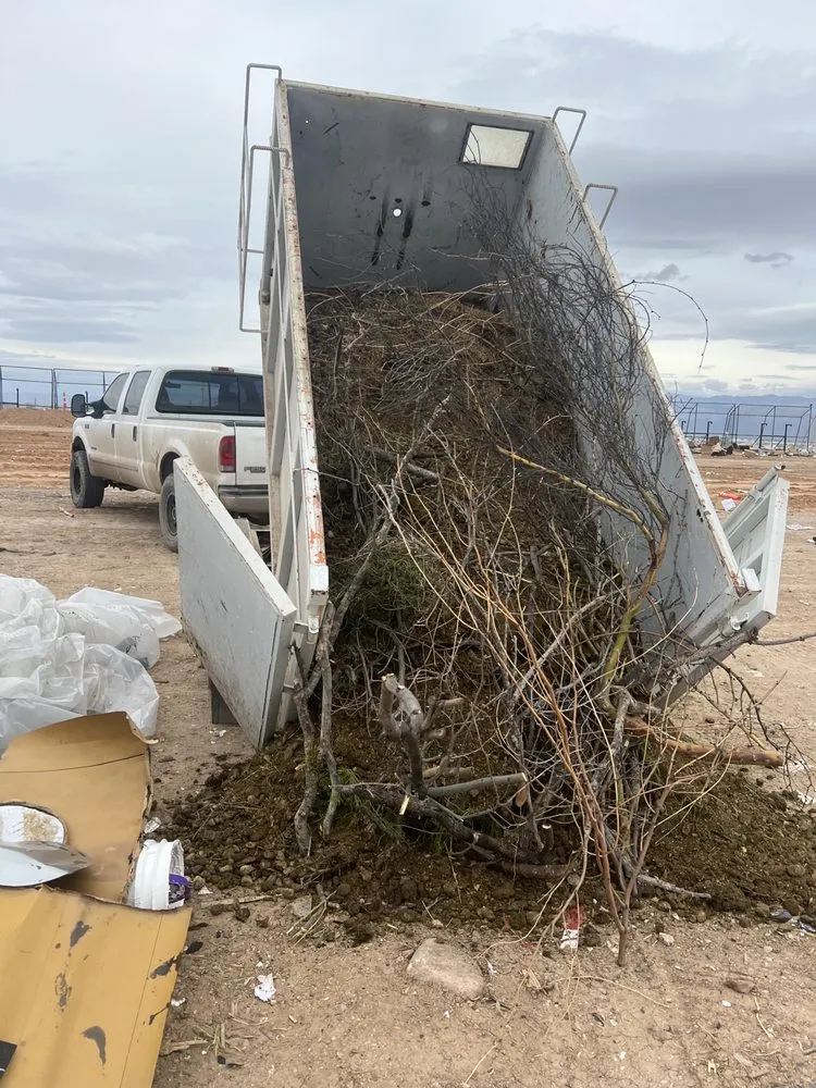 Affordable landscaping services for beautiful yards across Vail, AZ - Halligan Hauling