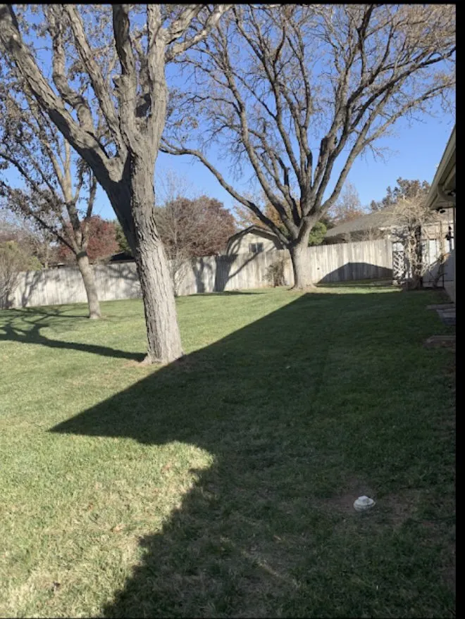 Custom outdoor landscaping for homes in Amarillo, TX by Halligan Tree And Landscape services