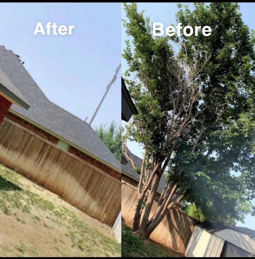 Expert yard maintenance with custom design across Amarillo, TX - Halligan Tree And Landscape services