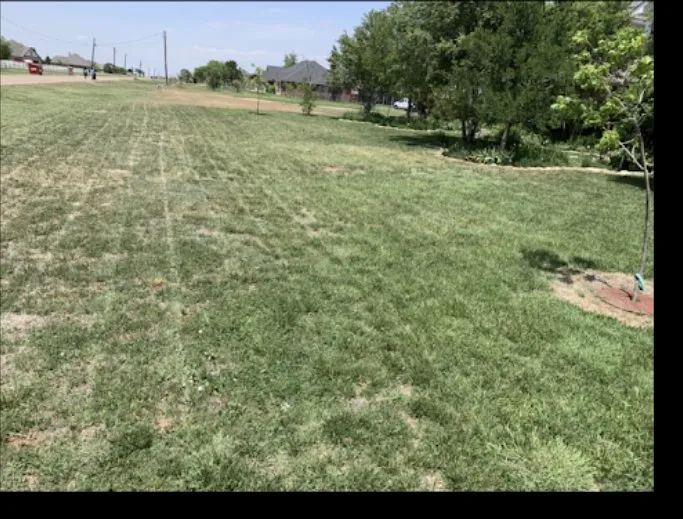 Custom landscape design in Amarillo, TX by Halligan Tree And Landscape services