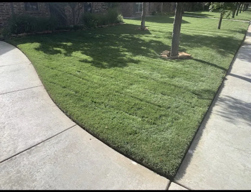 Professional landscape design in Amarillo, TX - Halligan Tree And Landscape services