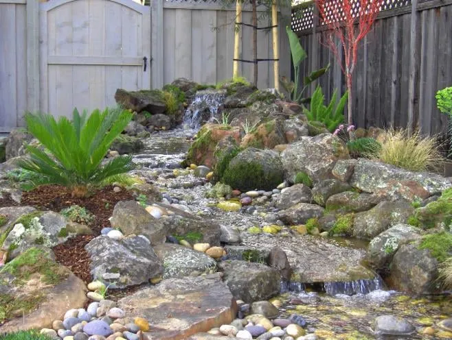 Affordable landscape design in Belmont, CA - Hallmark Fine Gardens