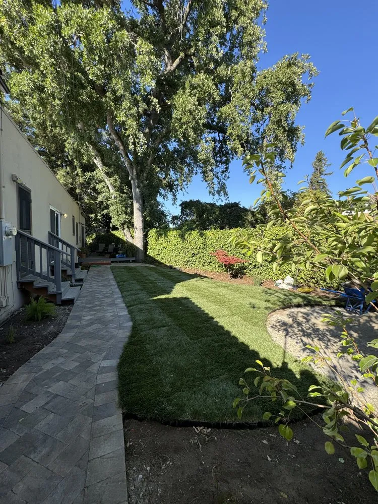 Custom residential landscaping experts serving Belmont, CA - Hallmark Fine Gardens