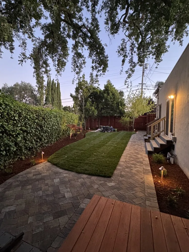 Professional lawn care service experts serving Belmont, CA - Hallmark Fine Gardens