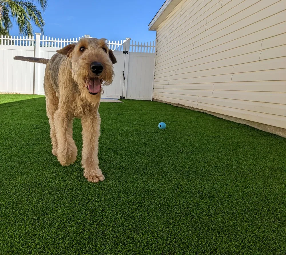 Local landscape design in Fruitland Park, FL - Hall's Complete Landscape