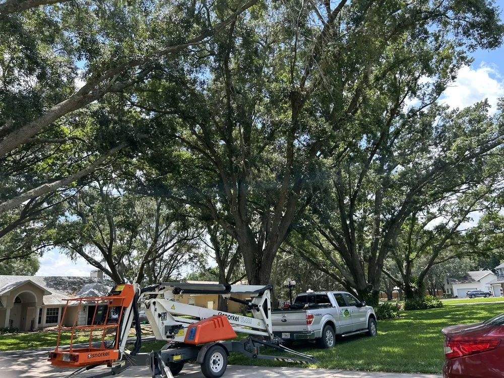 Top-rated landscape installation in Spring Hill, FL - Hall’s Complete Lawn Care