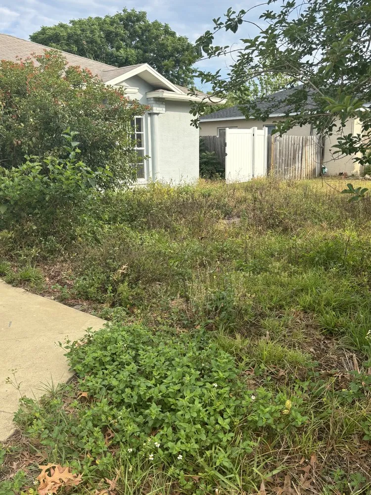 Trusted landscape design in Spring Hill, FL by Hall’s Complete Lawn Care