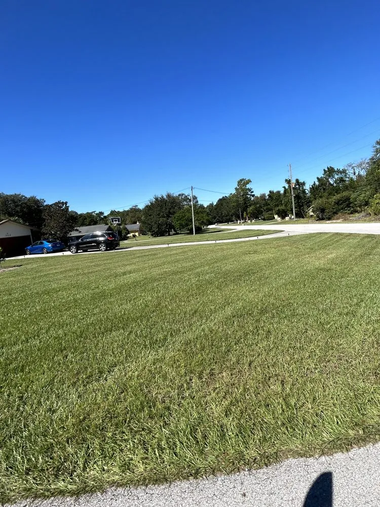 Professional landscape installation experts serving Spring Hill, FL - Hall’s Complete Lawn Care