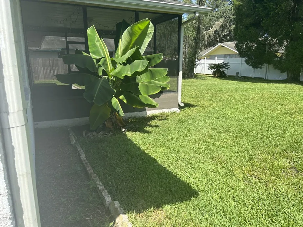 Affordable landscaping services for year-round maintenance across Spring Hill, FL - Hall’s Complete Lawn Care