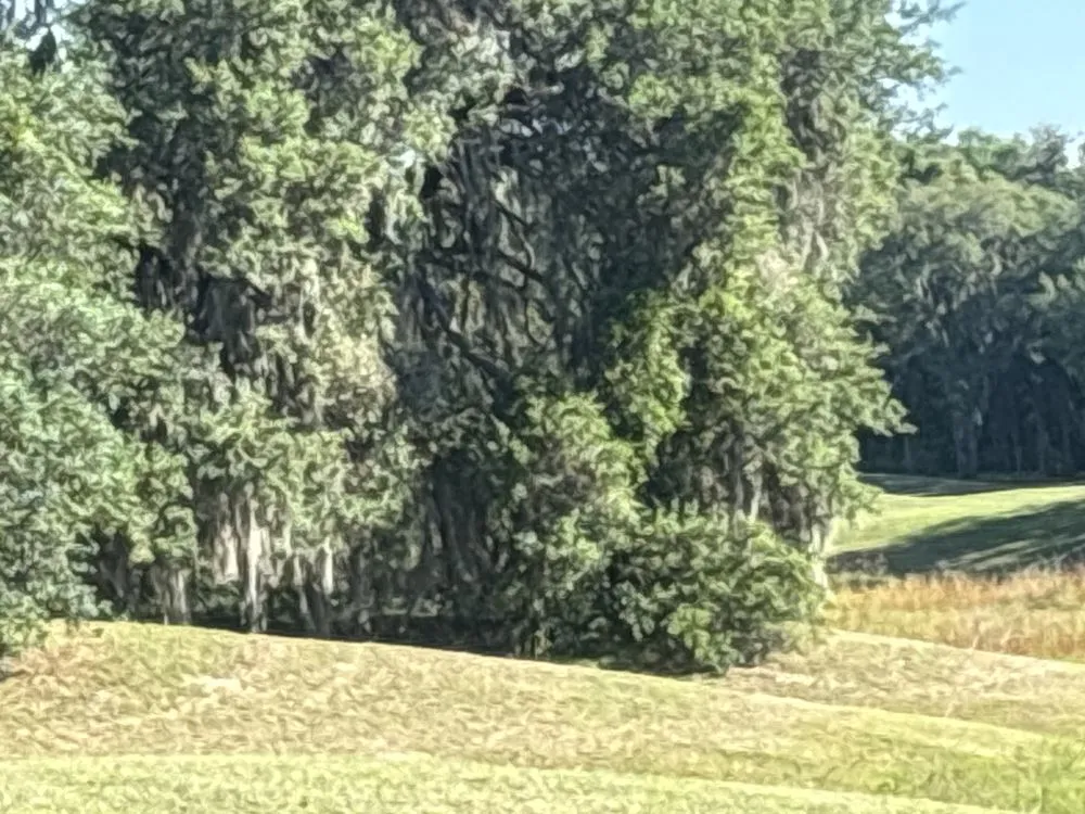 Expert lawn mowing service for outdoor upgrades across Spring Hill, FL - Hall’s Complete Lawn Care