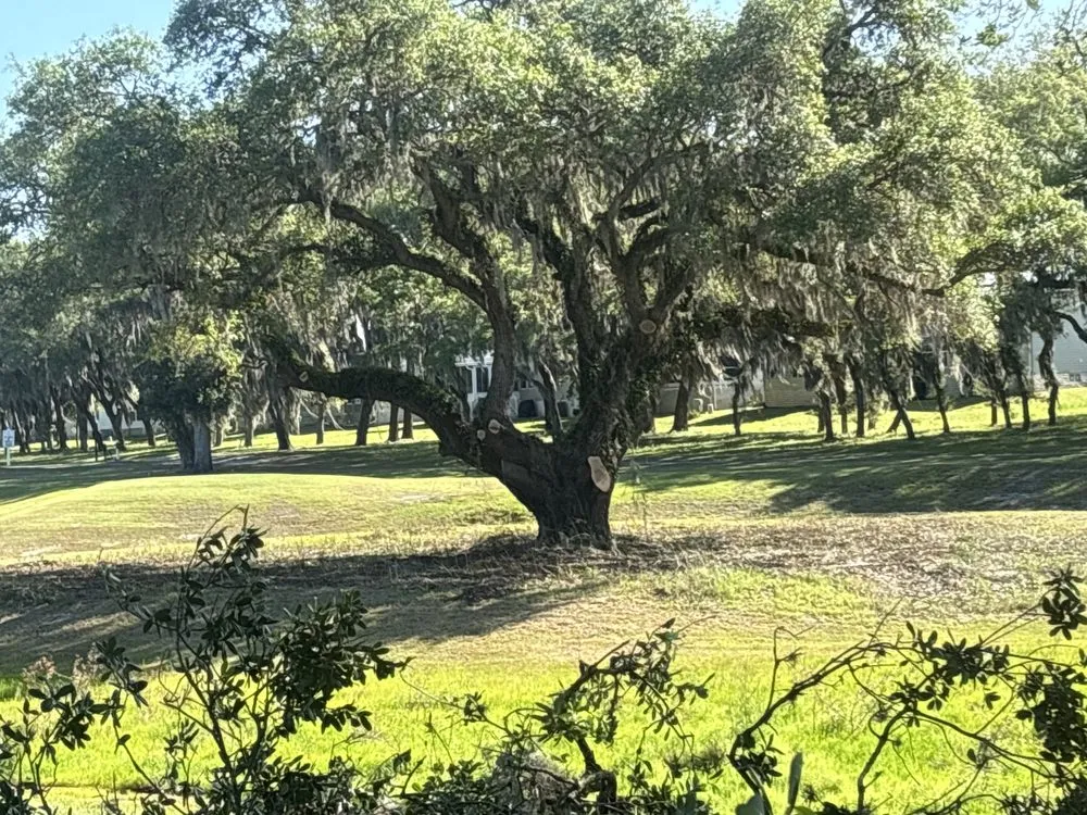 Professional residential landscaping for year-round maintenance across Spring Hill, FL - Hall’s Complete Lawn Care