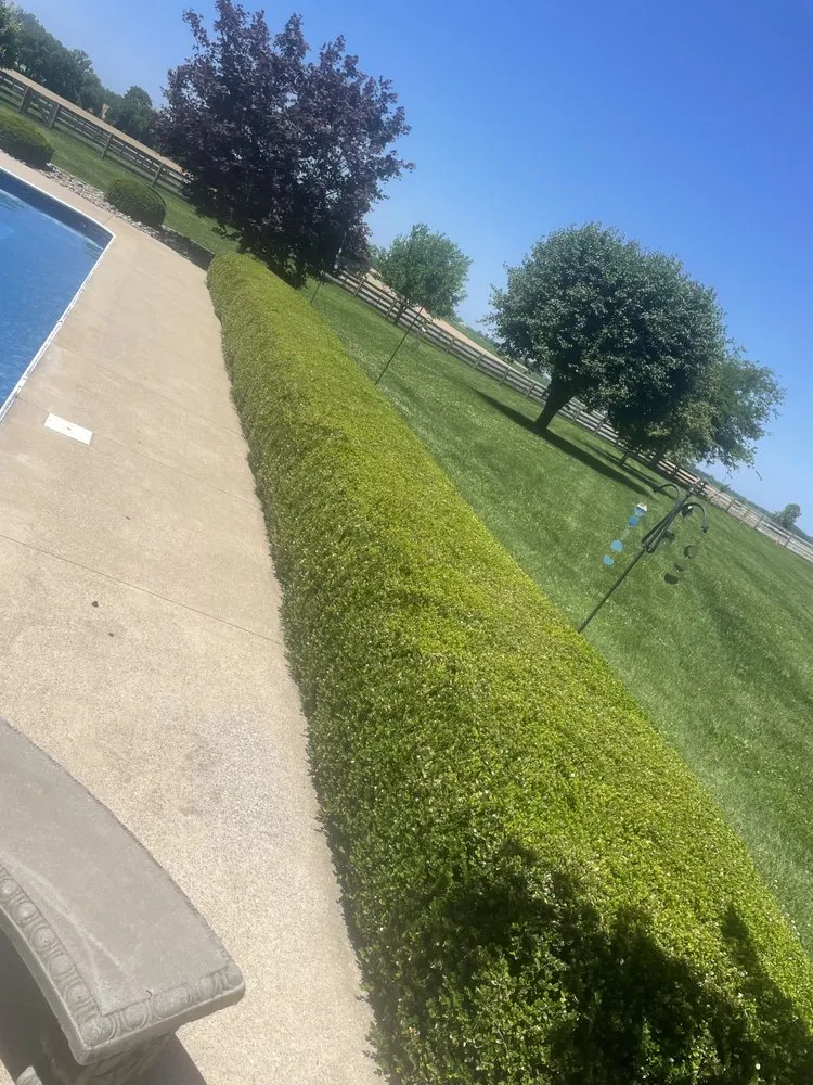 Professional yard cleanup service in Scottsville, KY - Hall’s Landscaping & Remodeling