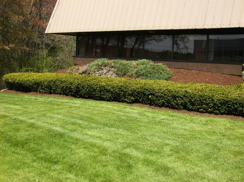 Affordable residential landscaping for year-round maintenance in Brockton, MA by Halls Landscaping