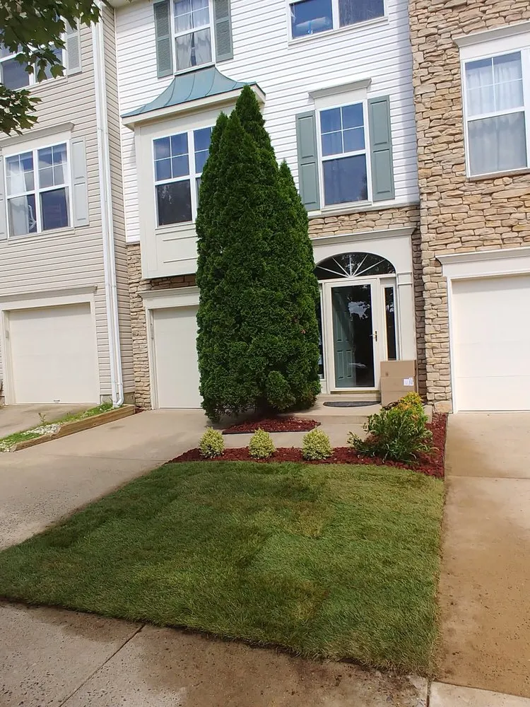 Custom lawn care service in Falls Church, VA by Hall's Landscaping