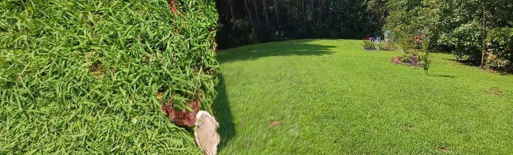 Local garden landscaping in Millsboro, DE by Hall's Landscaping