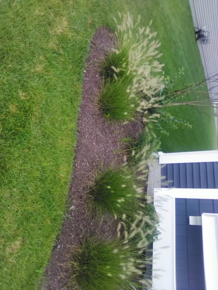 Reliable lawn care service experts serving Millsboro, DE - Hall's Landscaping