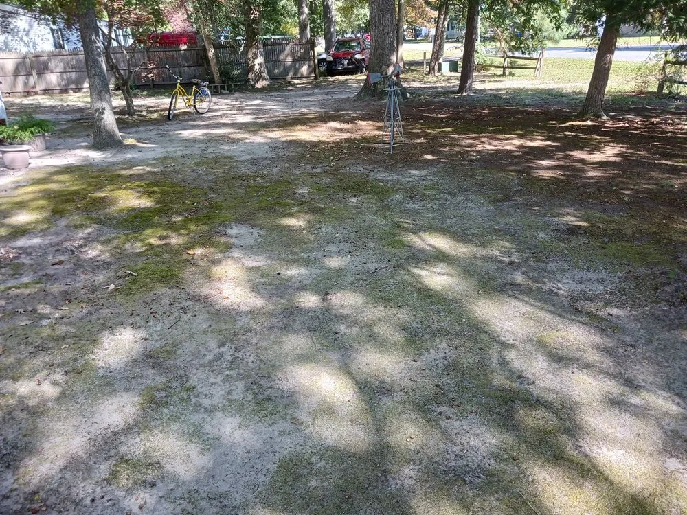 Professional lawn care service in Millsboro, DE - Hall's Landscaping