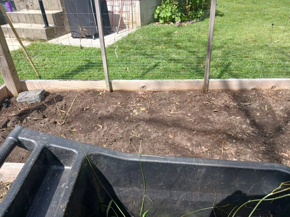 Reliable yard cleanup service for beautiful yards in Millsboro, DE by Hall's Landscaping