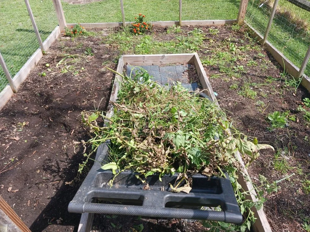 Reliable landscape installation in Millsboro, DE by Hall's Landscaping