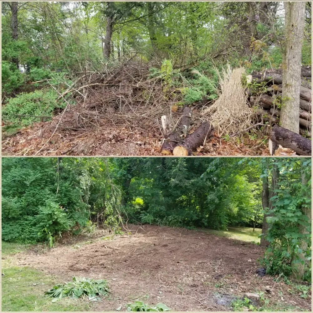 Affordable yard maintenance for beautiful yards in West Hartford, CT by Hall's Landscaping