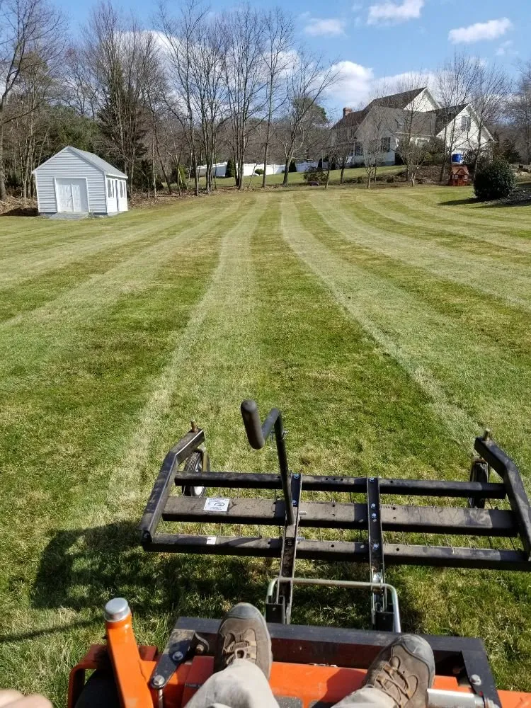 Affordable yard cleanup service experts serving West Hartford, CT - Hall's Landscaping