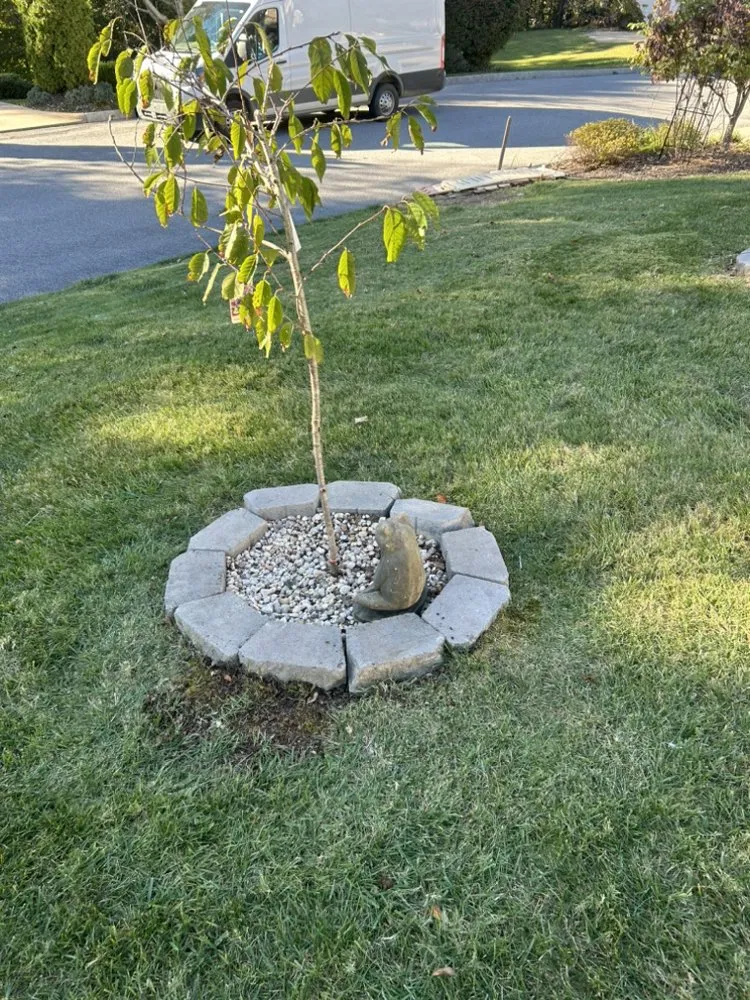 Reliable yard maintenance for residential properties in Gate City, VA by Halls Lawn and Tree