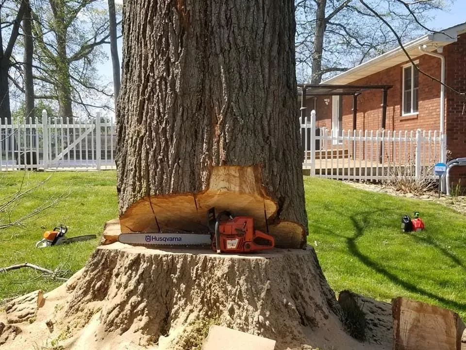 Reliable yard maintenance in Gate City, VA by Halls Lawn and Tree