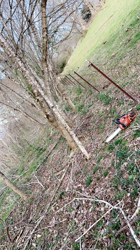 Custom landscape installation in Gate City, VA - Halls Lawn and Tree