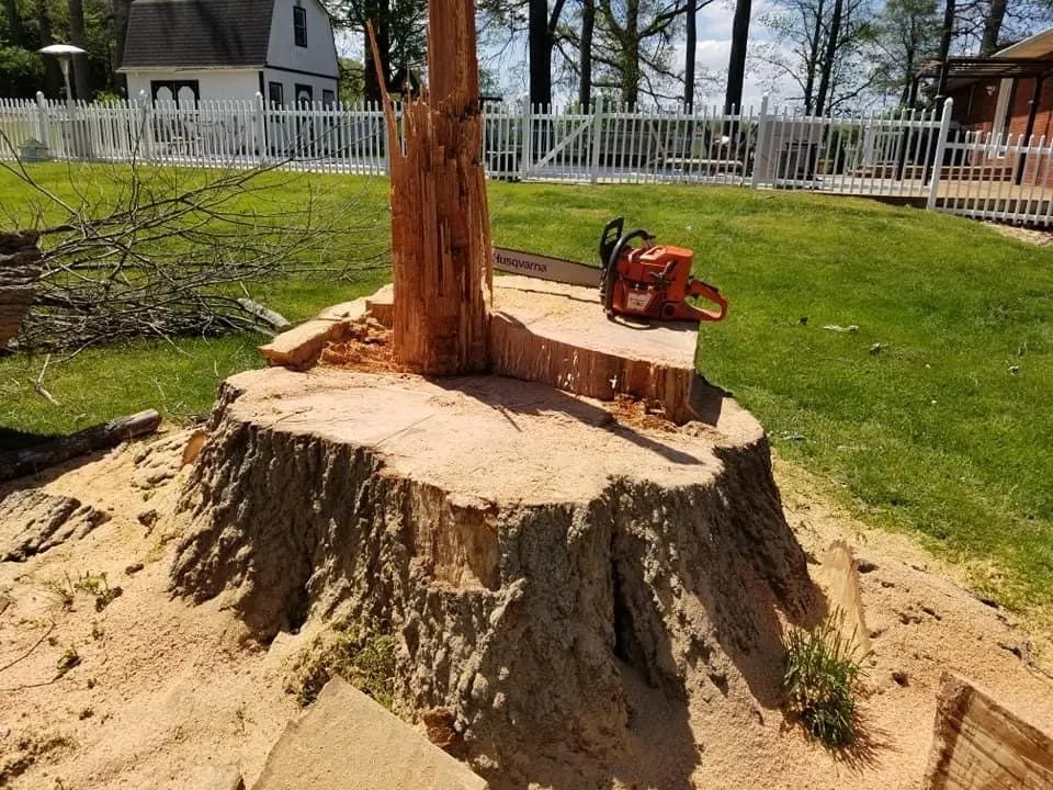 Custom landscape design for homes in Gate City, VA by Halls Lawn and Tree