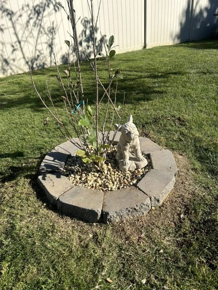 Trusted yard cleanup service in Gate City, VA by Halls Lawn and Tree