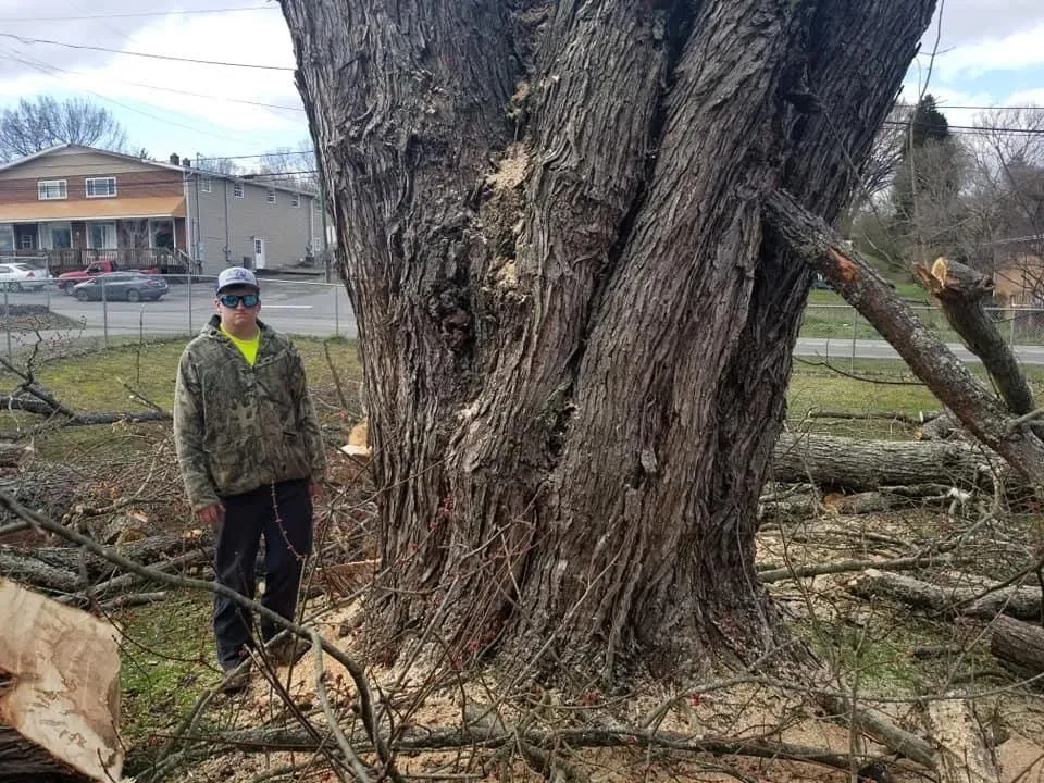 Affordable lawn mowing service for year-round maintenance in Gate City, VA by Halls Lawn and Tree