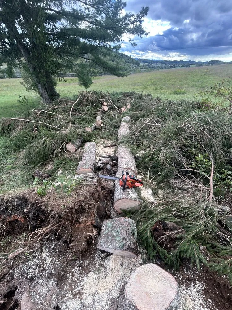 Trusted yard cleanup service experts serving Gate City, VA - Halls Lawn and Tree