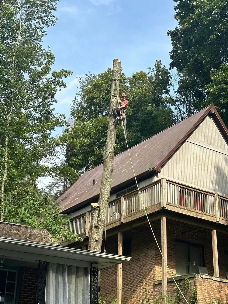 Reliable lawn mowing service in Gate City, VA - Halls Lawn and Tree