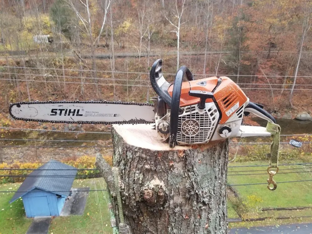 Reliable yard maintenance in Gate City, VA - Halls Lawn and Tree