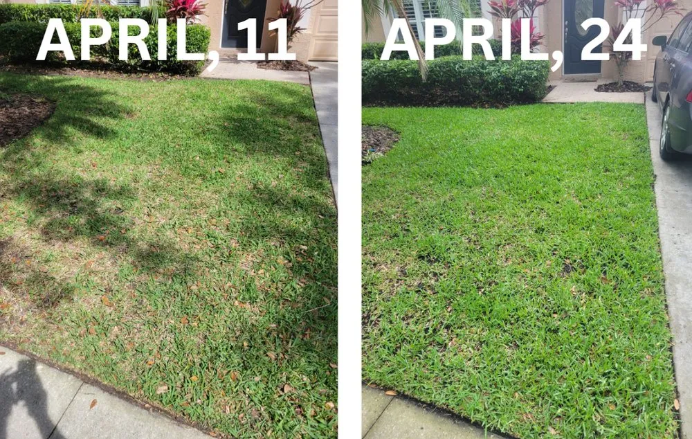 Custom residential landscaping with custom design in Oldsmar, FL by Hall's Lawn Balancing