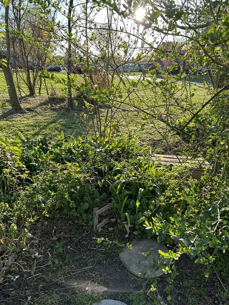 Reliable residential landscaping experts serving Hartly, DE - Halls Lawn Care