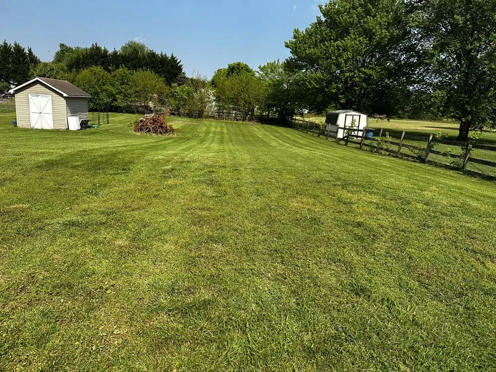 Trusted landscape installation for year-round maintenance in Hartly, DE by Halls Lawn Care