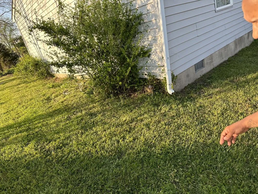 Reliable yard maintenance in Hartly, DE by Halls Lawn Care